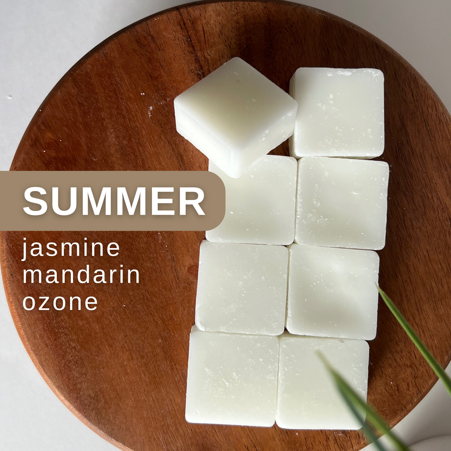 summer coconut wax melts