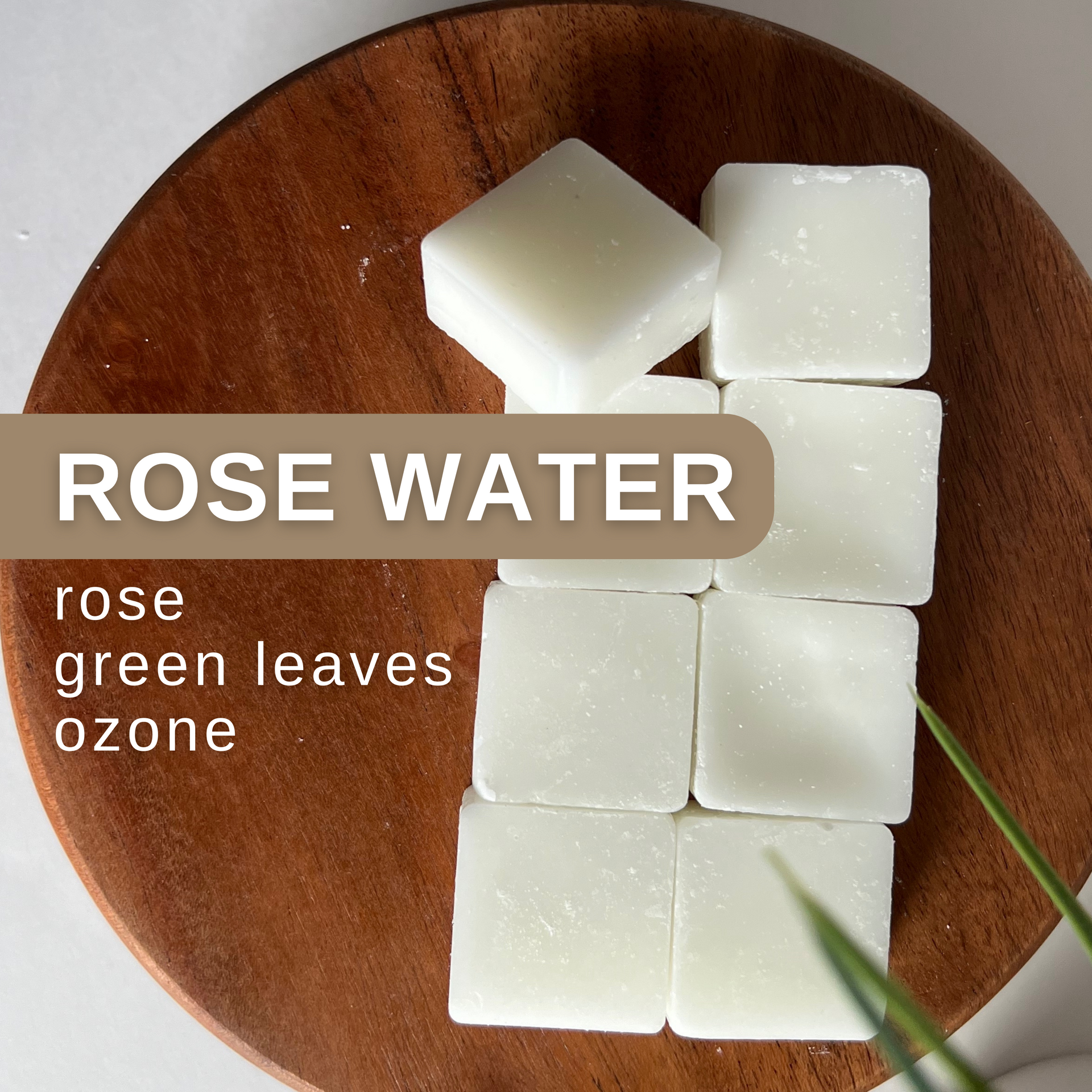 rose water coconut wax melts – pvdgifts