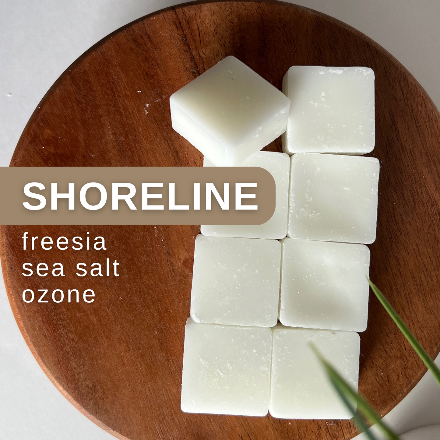 shoreline coconut wax melts