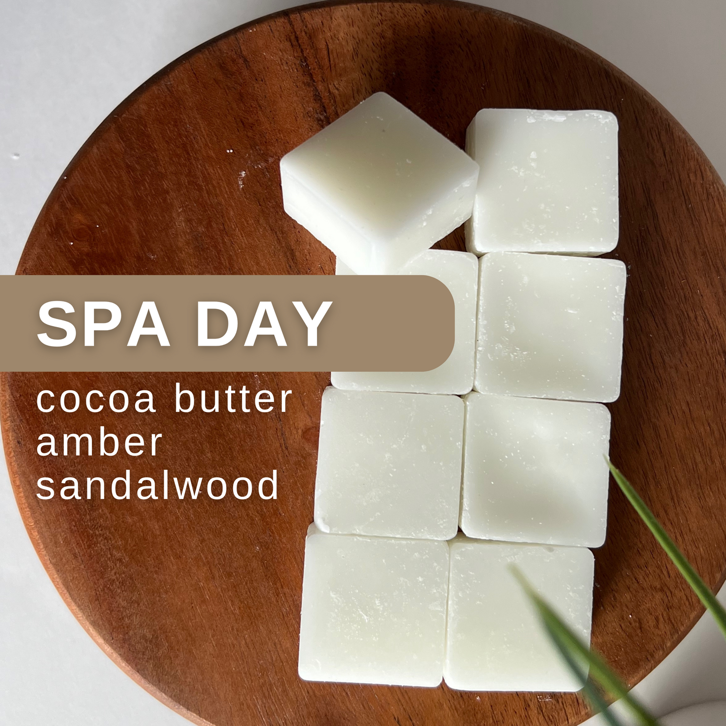 spa day coconut wax melts