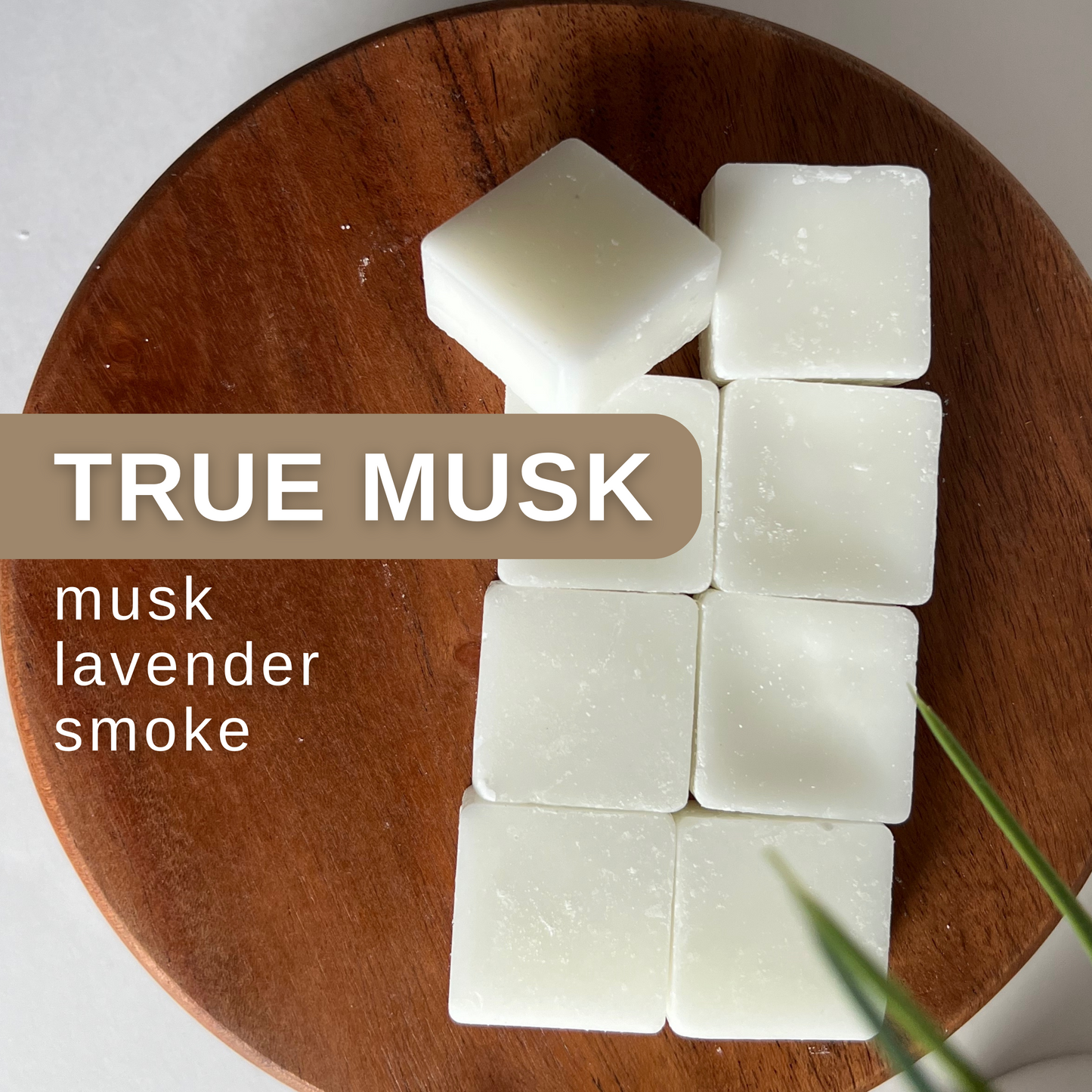 true musk coconut wax melts